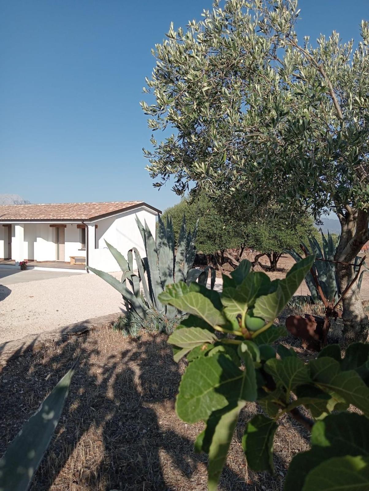 Agriturismo Sa Murta Доргали Екстериор снимка