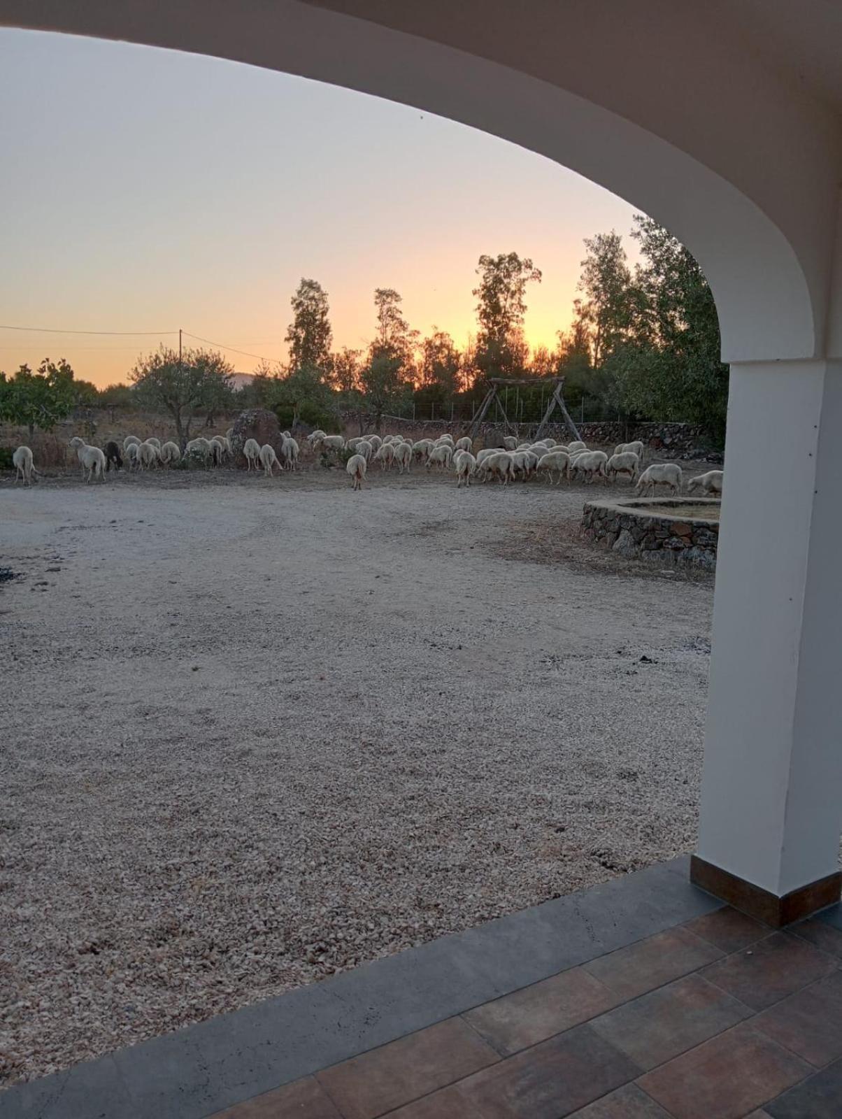 Agriturismo Sa Murta Доргали Екстериор снимка