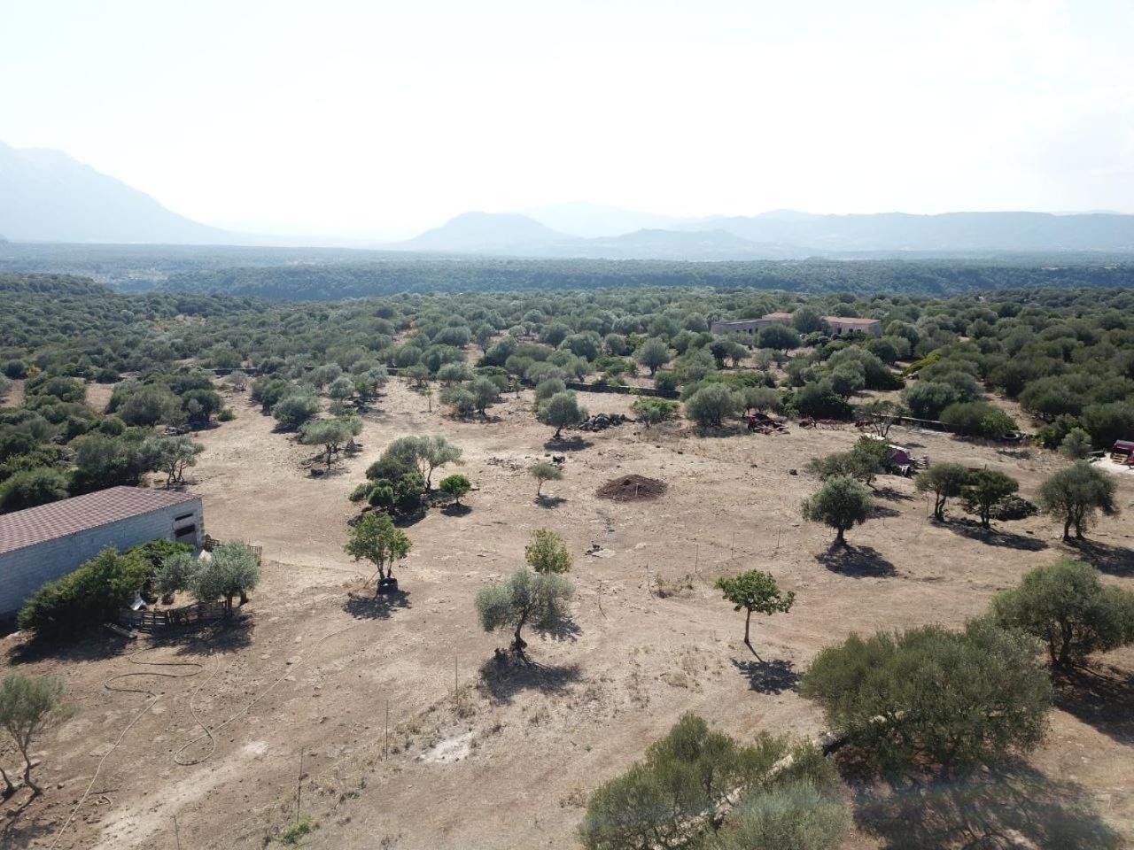 Agriturismo Sa Murta Доргали Екстериор снимка