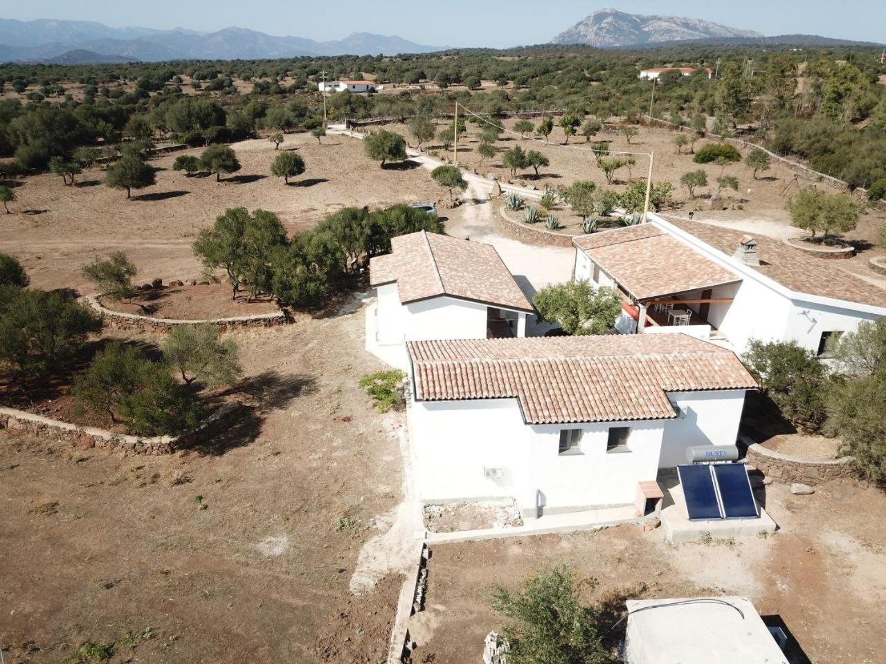 Agriturismo Sa Murta Доргали Екстериор снимка