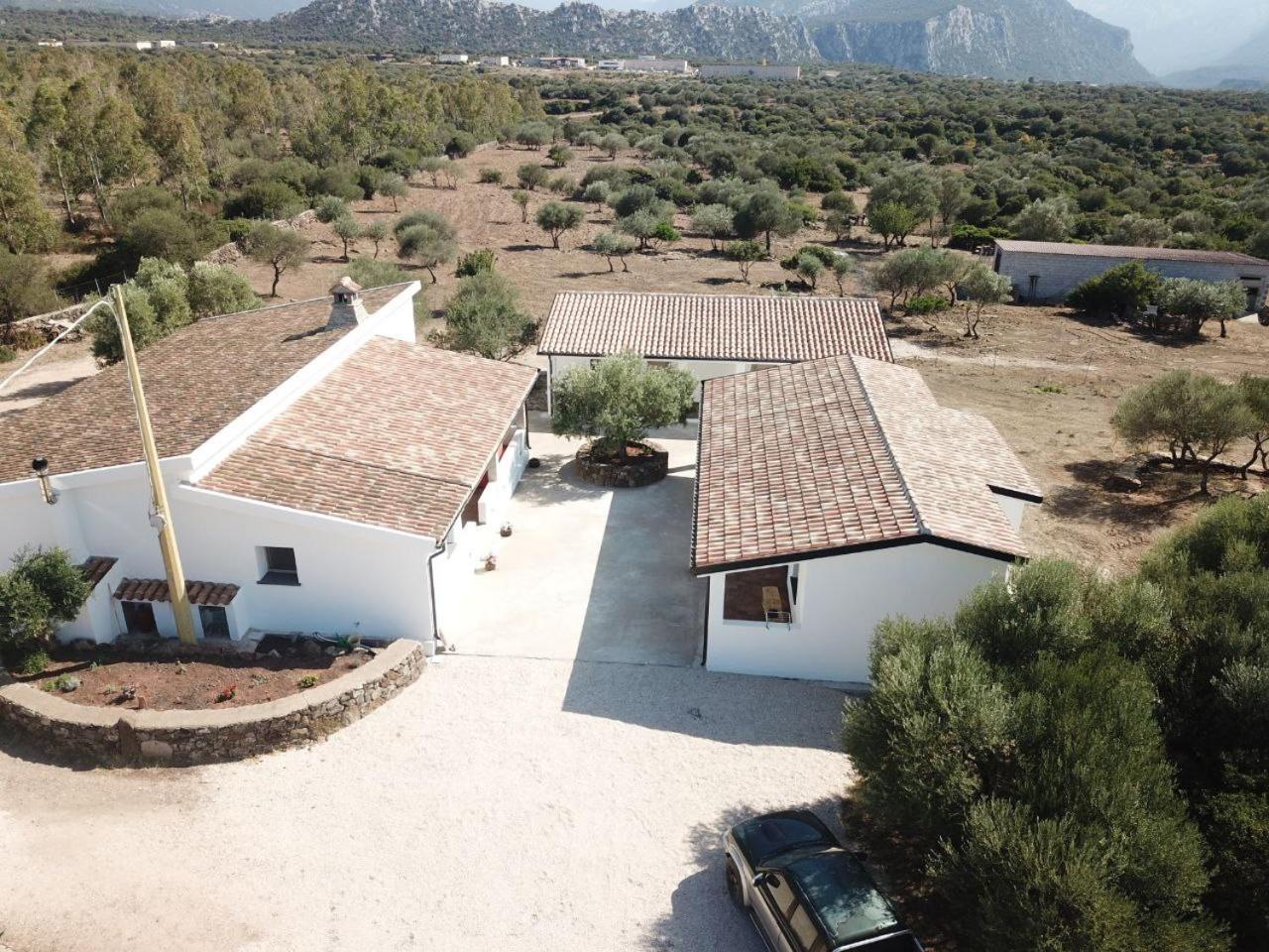 Agriturismo Sa Murta Доргали Екстериор снимка