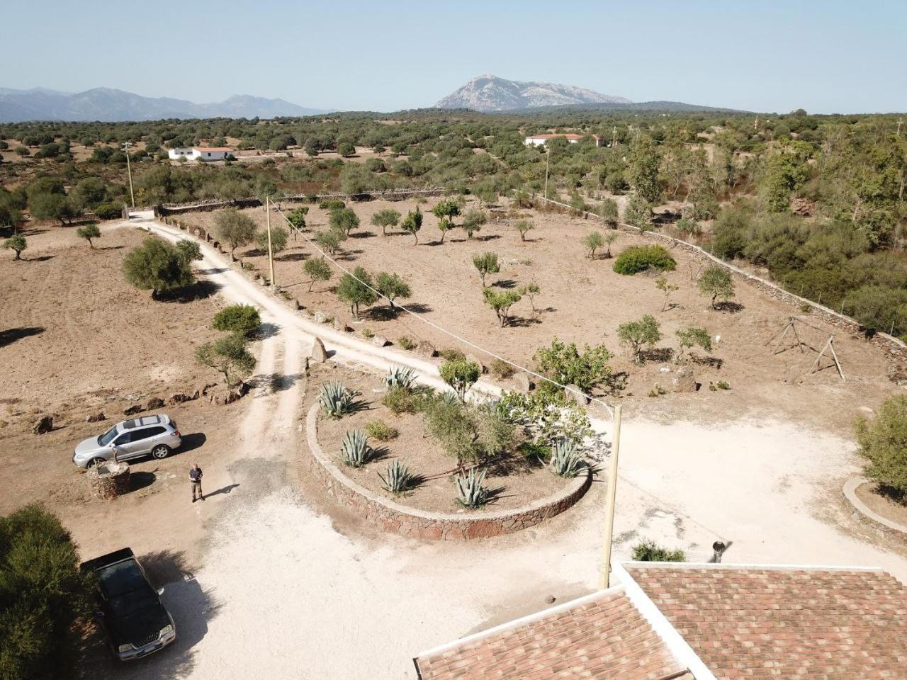 Agriturismo Sa Murta Доргали Екстериор снимка