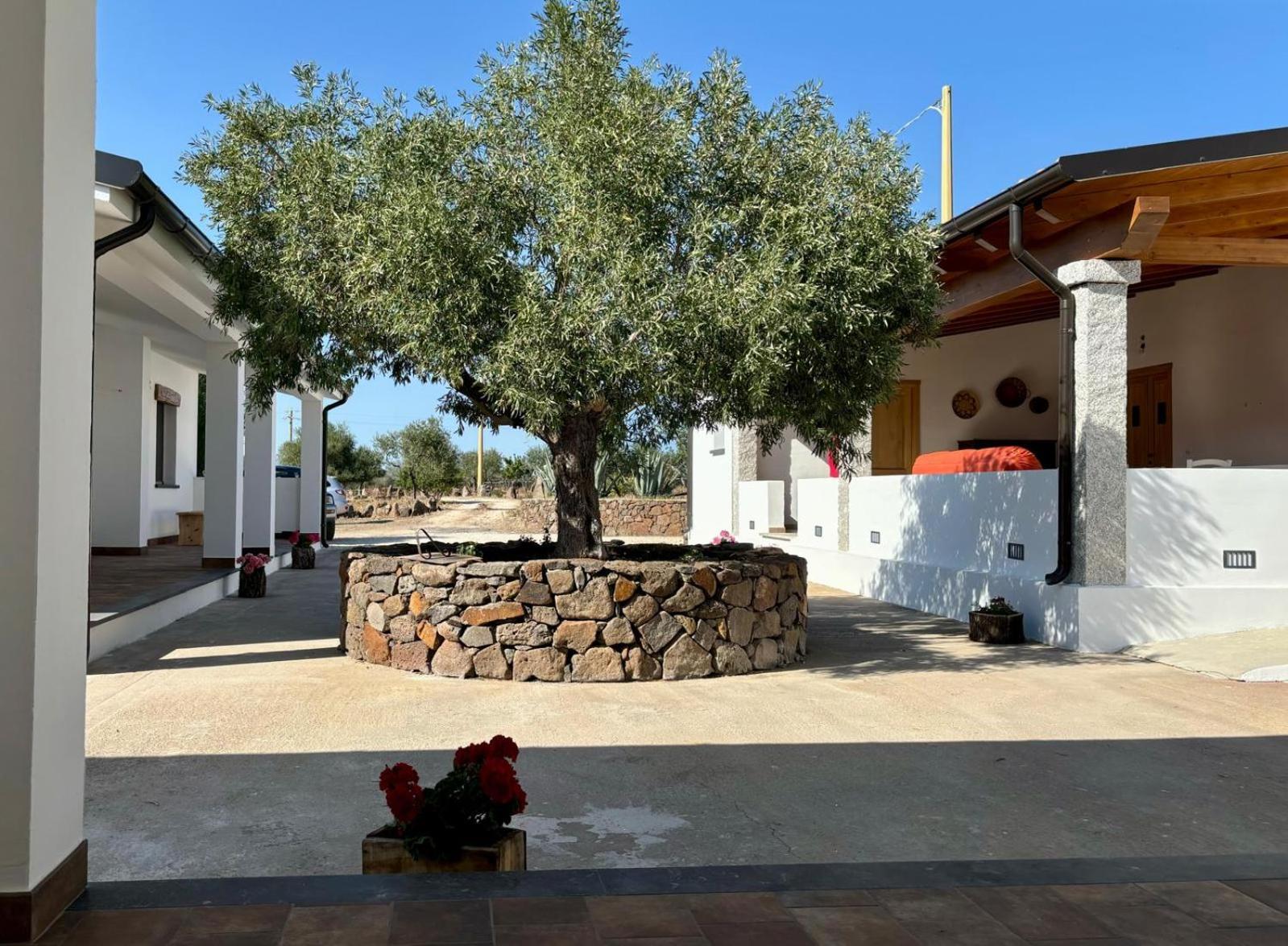 Agriturismo Sa Murta Доргали Екстериор снимка