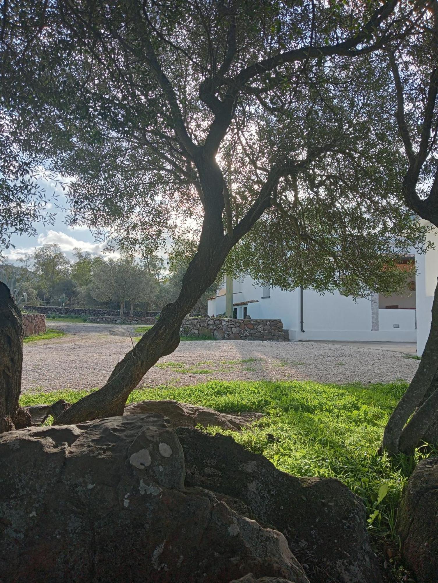 Agriturismo Sa Murta Доргали Екстериор снимка