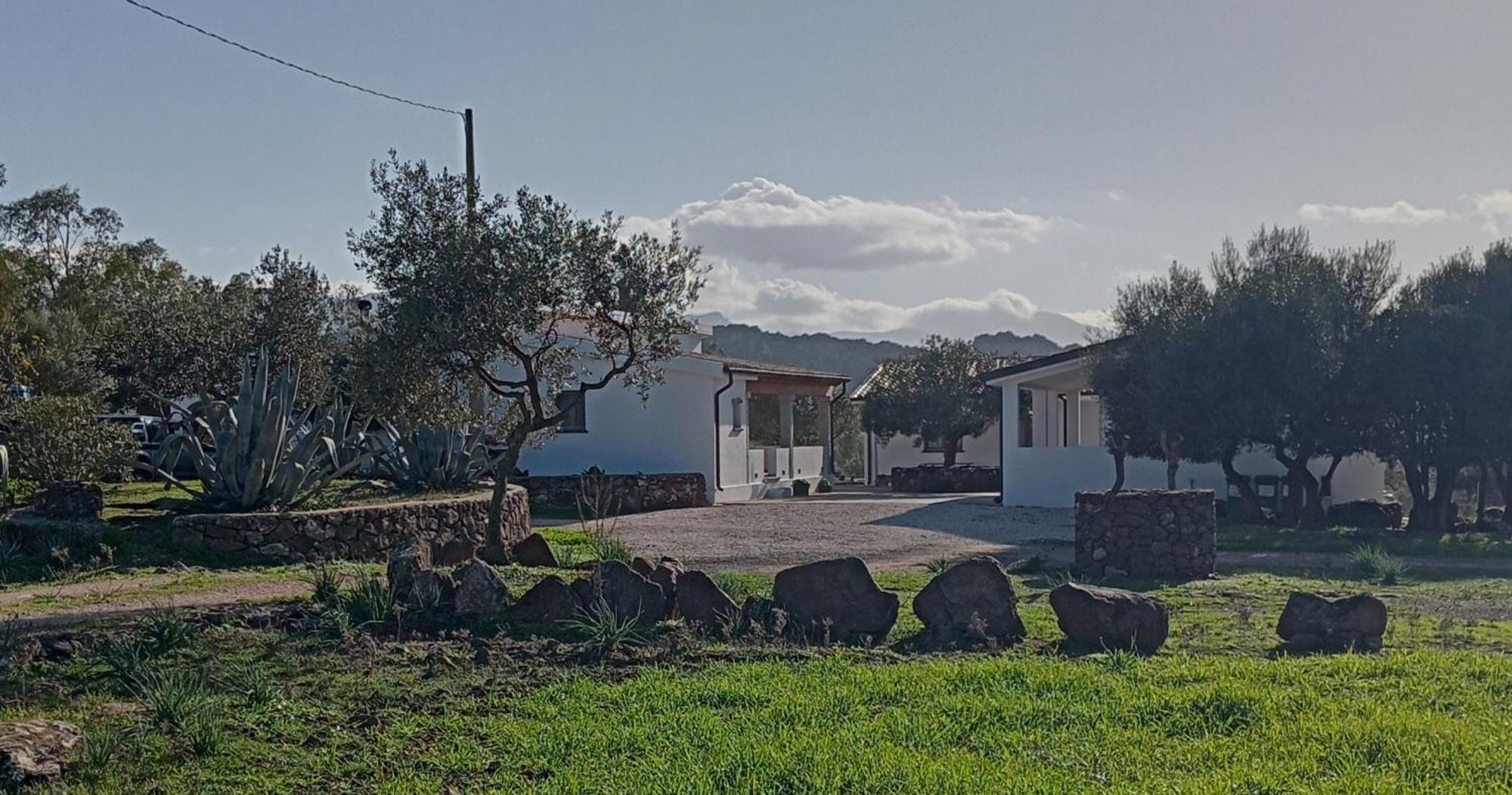 Agriturismo Sa Murta Доргали Екстериор снимка