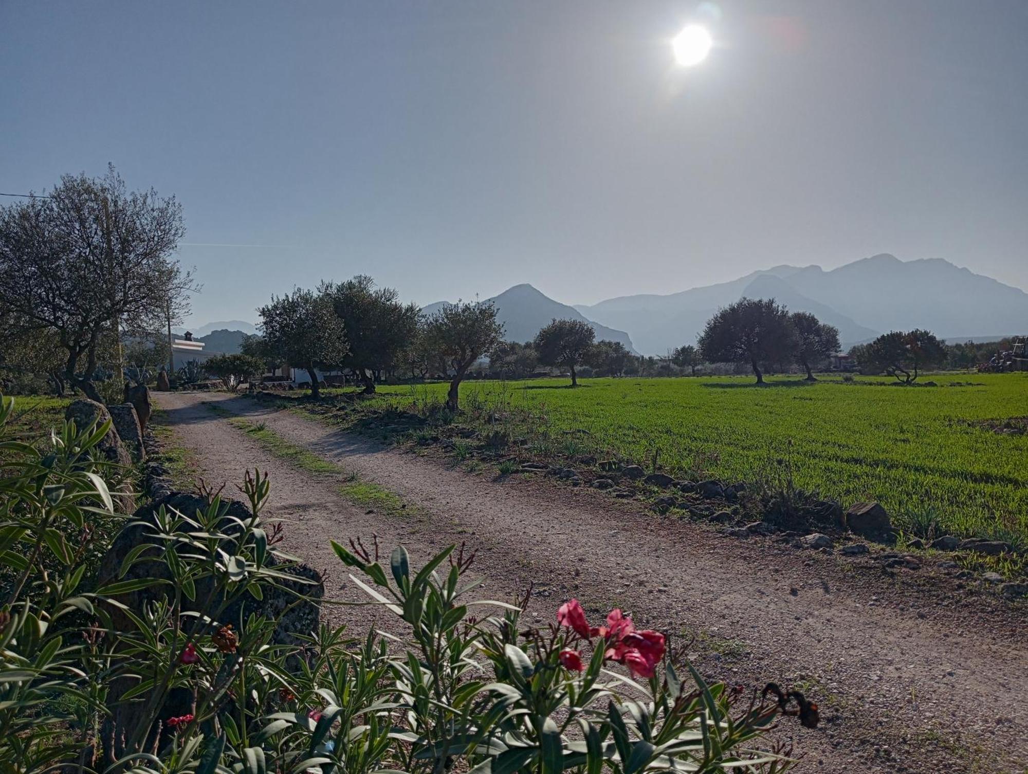 Agriturismo Sa Murta Доргали Екстериор снимка