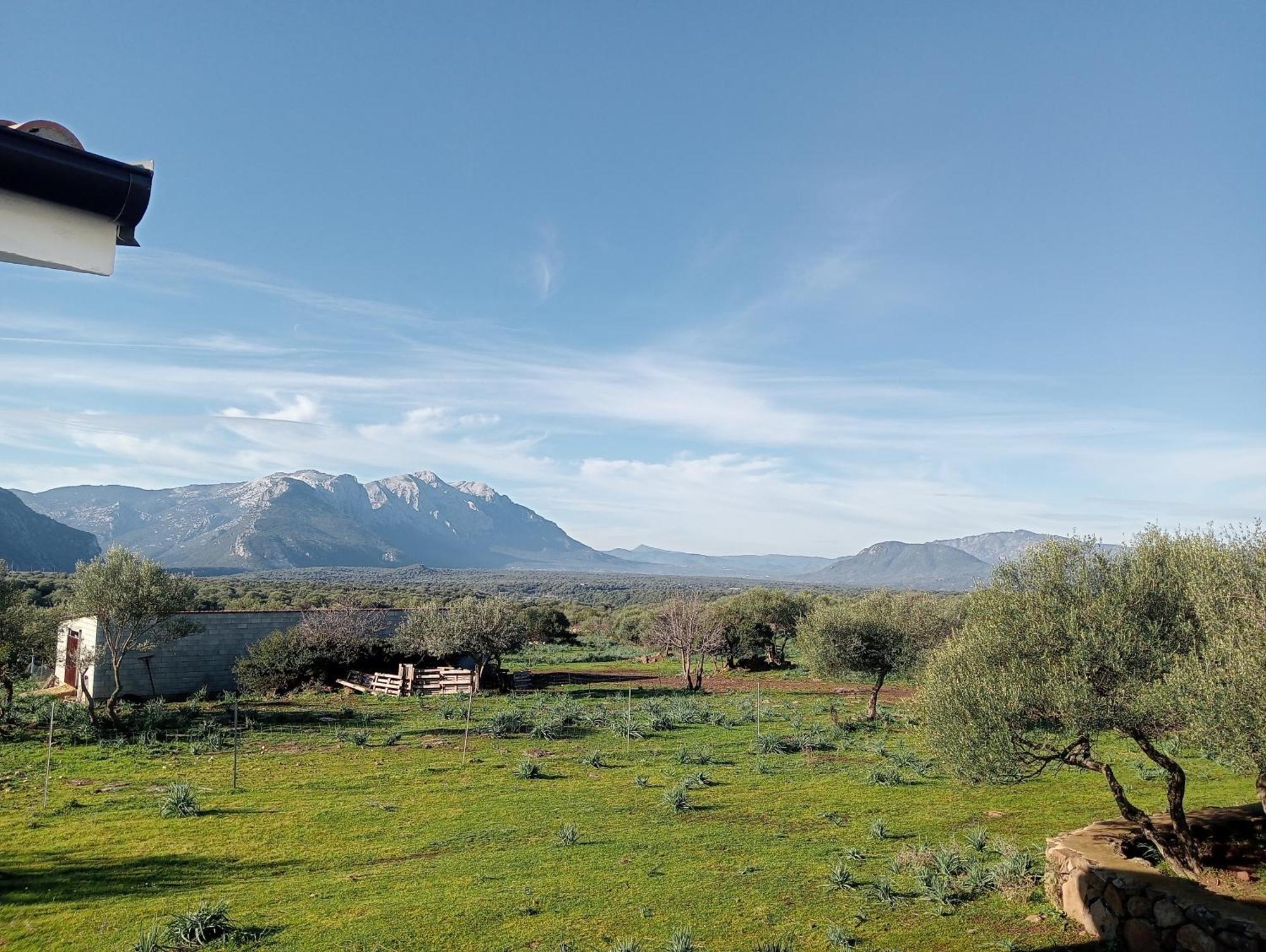 Agriturismo Sa Murta Доргали Екстериор снимка