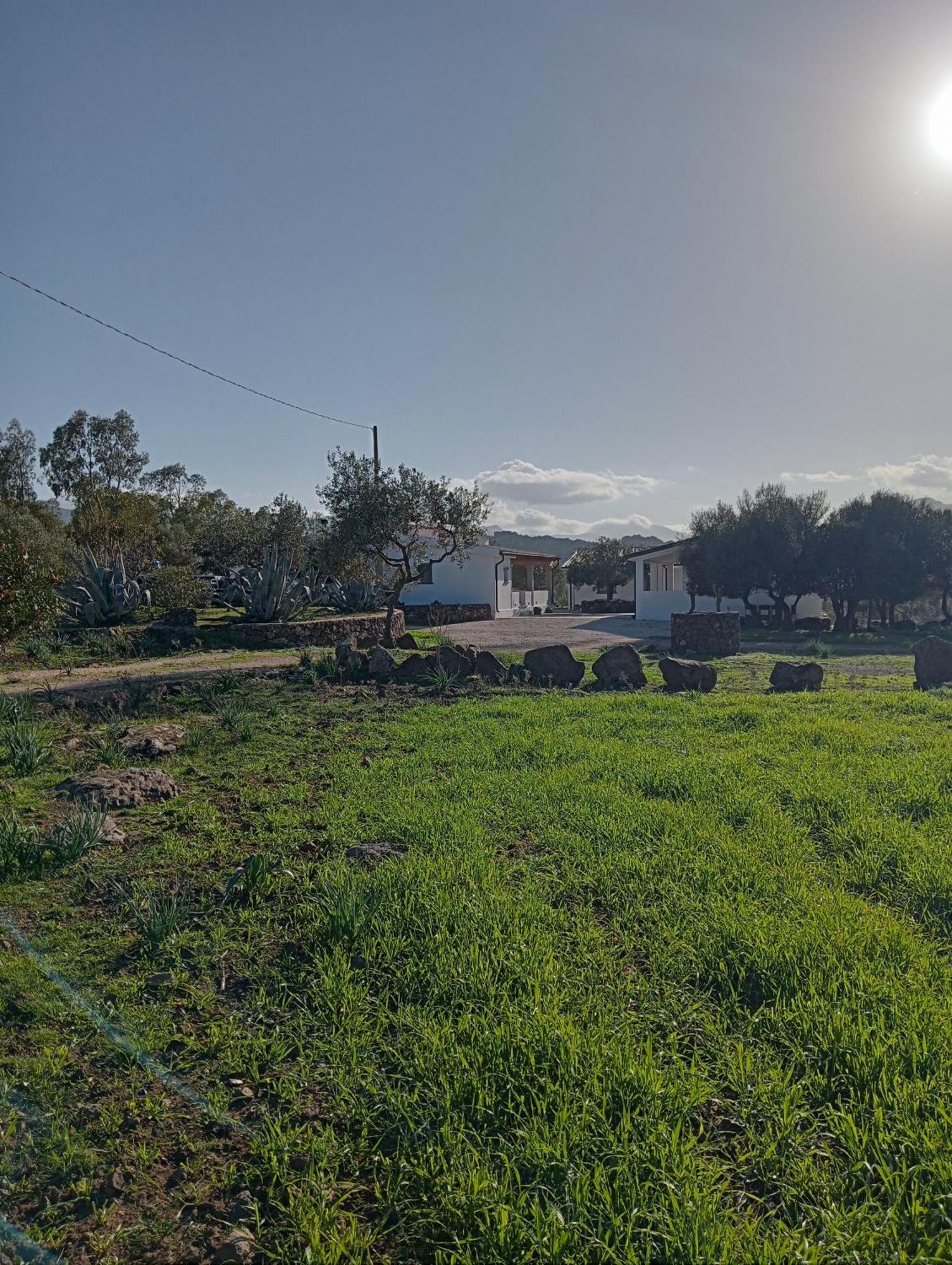 Agriturismo Sa Murta Доргали Екстериор снимка